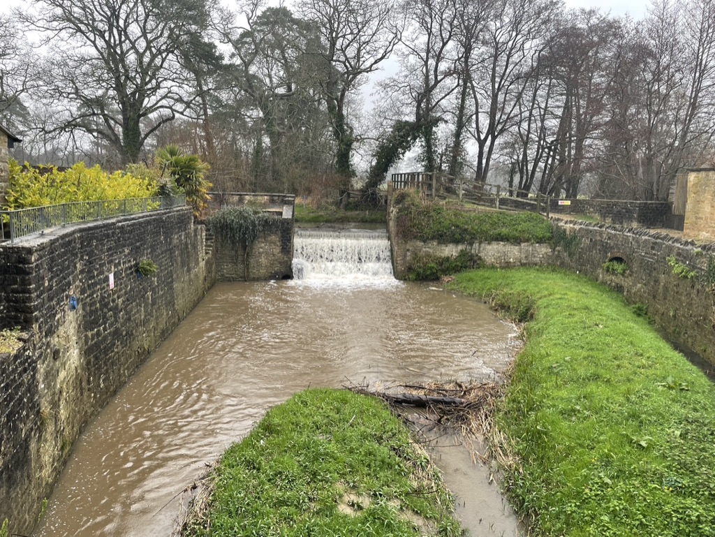 Ocean Fire Security tweet media