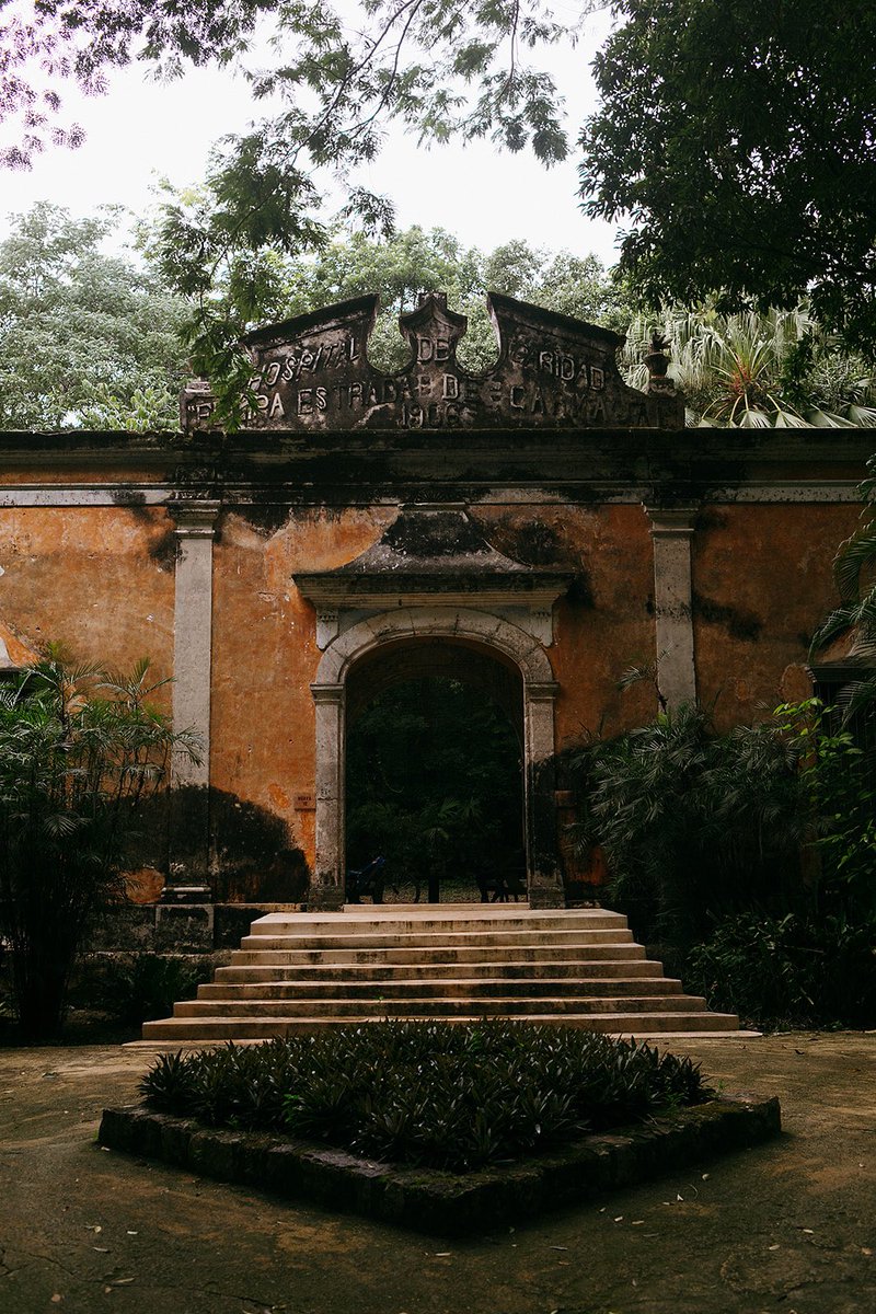 marialimon_'s tweet photo. There is something about the haciendas in Mexico that make them so unique and spectacular …the architecture, the walls, the floors, the ancient trees and all the history you can breathe within @ArchiveRentals @Thehaciendas @brooketaelorphoto @marialimon_ https://t.co/nLsOsx0c63
