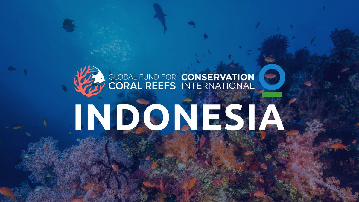 The #GFCR is launching a new programme in #Indonesia! Led by Yayasan Konservasi Indonesia and supported by <a href="/ConservationOrg/">Conservation Intl</a> the initiative will focus on sustainable finance for reef-positive livelihoods and #blueeconomy development in Indonesia 
lnkd.in/gCTcmDgq #ForCoral