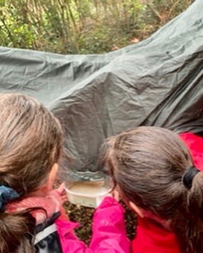 HalsteadPrepSch's tweet photo. The rain did not stop Year 5 in Outdoor Learning this afternoon. The girls erected an emergency shelter and collected rainwater. As a group they collected 10 tubs of rain water and survived the weather! #outdoorlearning #raindoesnotstopus #ready #prepared #halsteadlife https://t.co/NrE3zUOW4Z