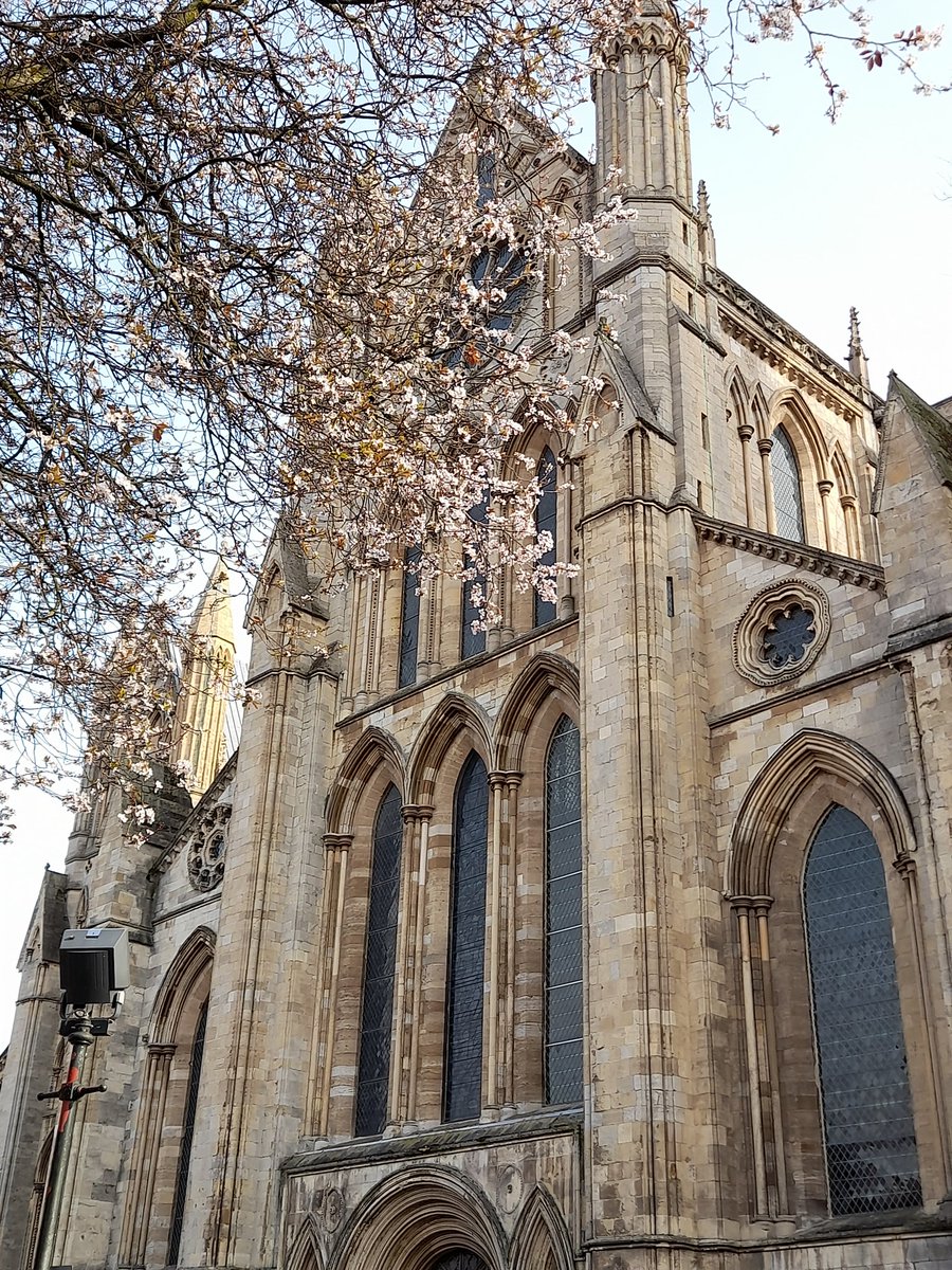 ianrich15813274's tweet photo. #SpringInChurches First blossom of spring at Beverley Minster, south transept. https://t.co/4UfHKJjd1L