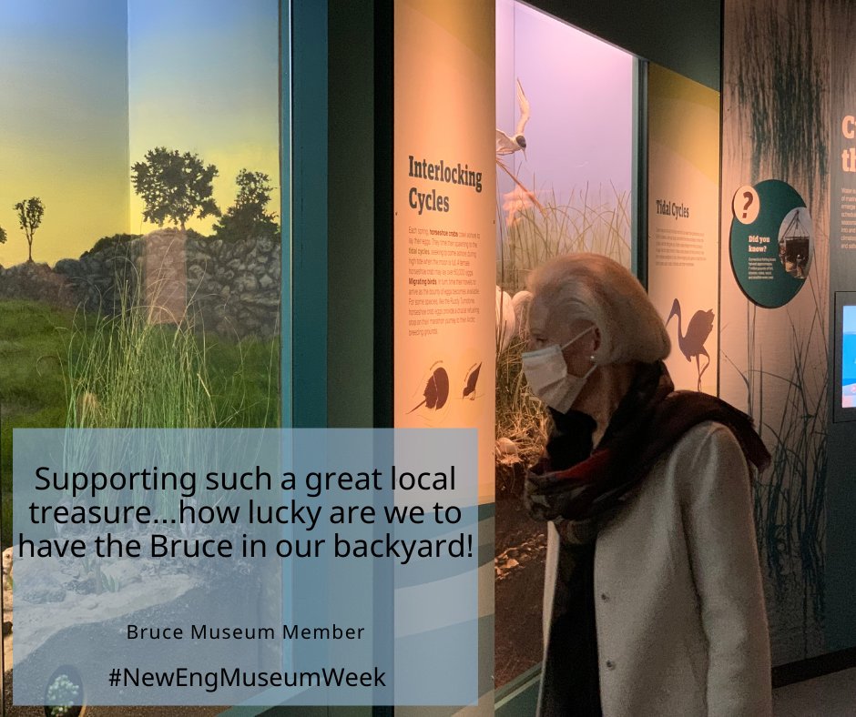 thebrucemuseum's tweet photo. Celebrate #NewEngMuseumWeek with us! According to @AAMers, more people visited an art museum, science center, historic house or site, zoo, or aquarium in 2018 than attended a professional sporting event. As restrictions ease, we look forward to seeing you again!⁠
⁠
#CTMuseum https://t.co/7dMTTDNg61