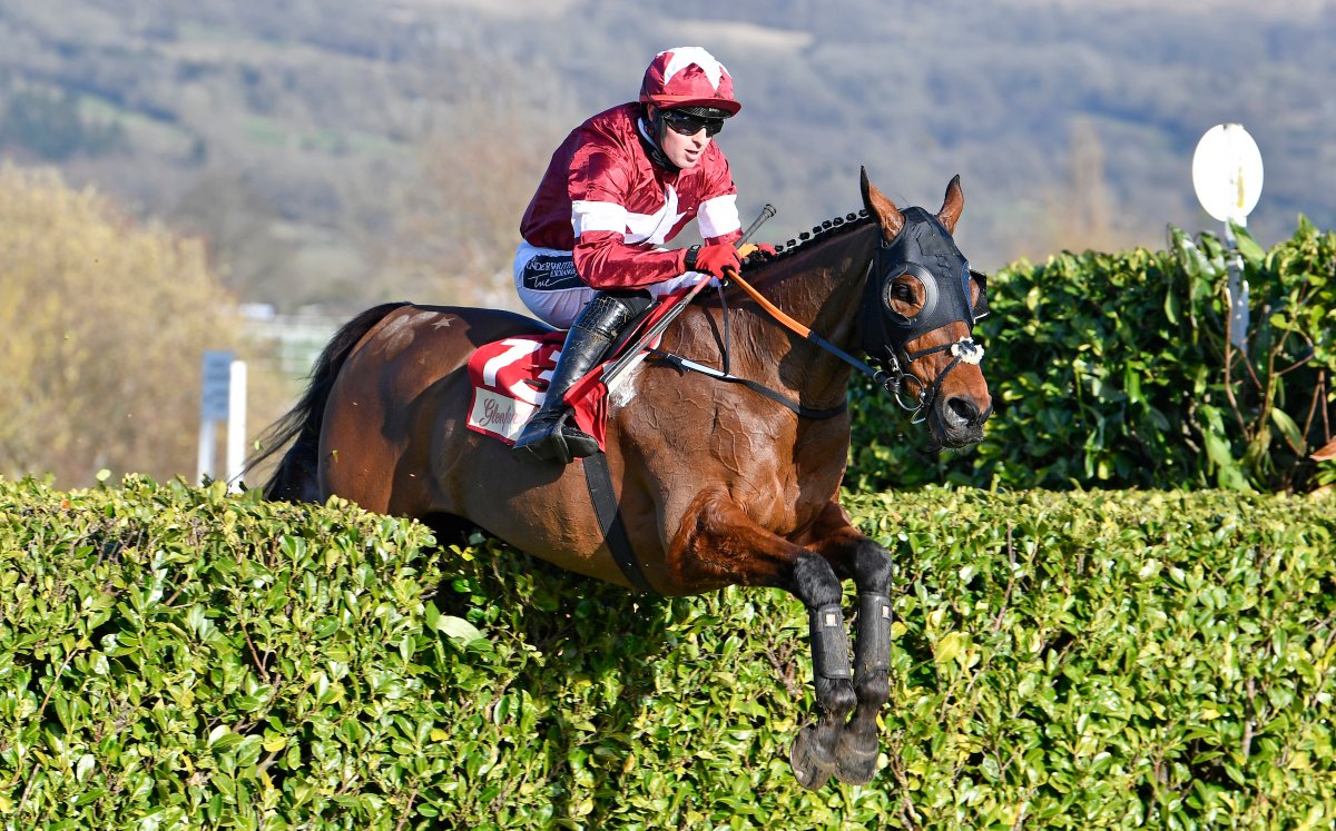 🐅 Tiger Roll - the horse of a lifetime

🏇 45 races
🥇 13 wins
🏆🏆🏆 Cross Country Chase
🏆🏆 Grand National
🏆 National Hunt Chase
🏆 Triumph Hurdle
🏆 Boyne Hurdle
🏆 Munster National
💷 Over £1.4 million in prize money
⭐️ Thanks for the memories. Enjoy retirement Tiger