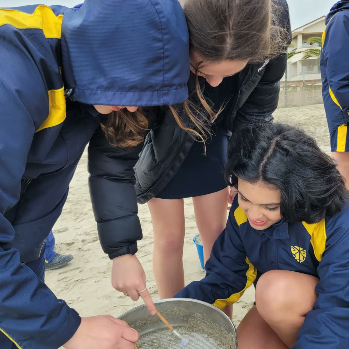 #GibraltarMarineScienceStudies 

Science Week at @PriorParkGib
Delighted to form a part of this fantastic celebration of the sciences! 

Students conducted #microplastic surveys on #WesternBeach

Techniques & methods applied gave pupils a real taste of proper scientific fieldwork