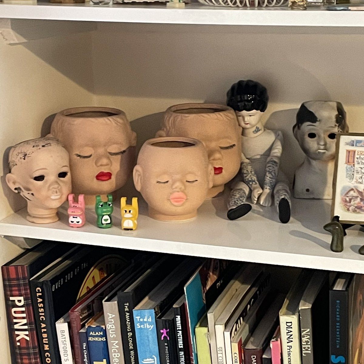 kitschendisco's tweet photo. @ShellSnowdonMcr @natalieeveradio Say hello to my little friends… there’s another, but she lives in a vintage terrarium with a phone box 💜💚💖 https://t.co/idUywPK2iE