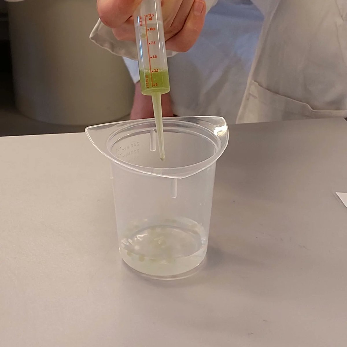 rsgSV's tweet photo. Leerlingen 3 havo en 3 vwo bij de labdag van #Wetsus #loopbaanoriëntatie #profielkeuze https://t.co/OTjEZaPceC