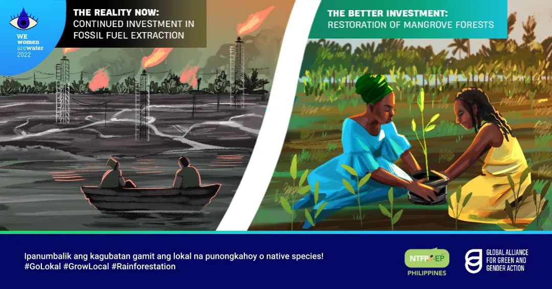 The Niger Delta is the world's 3rd largest mangrove forest, storing carbon 4x more than traditional rainforests. But these may disappear in the next 50 yrs due to oil spills & planting of nipa palms in the wrong site. These women are doing something better.🌿 #WeWomenAreWater