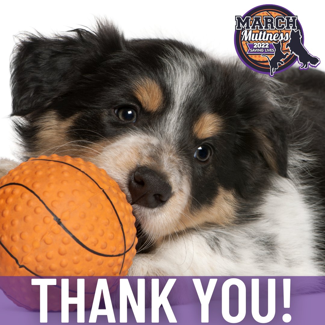 AnimalCareSanct's tweet photo. Thank you, thank you, thank you! 🐾

While we did not advance in the March Muttness tournament, the ACS community came together to raise more than $10,000 for the animals at the sanctuary.

&amp; a special thank you to @HSSAZ for organizing &amp; hosting the March Muttness tournament!🏀 https://t.co/xZ82IazbZS