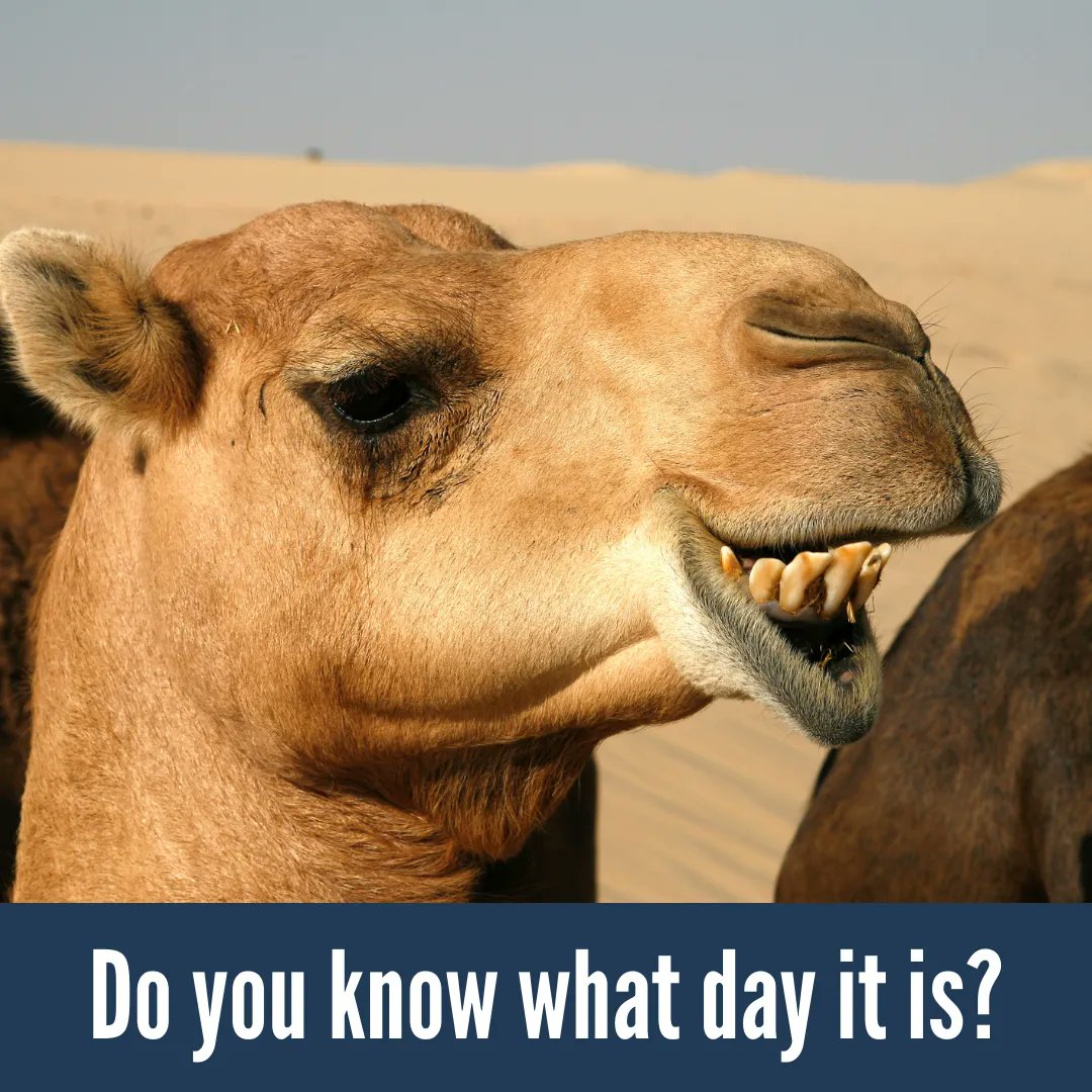 Let today be the day you learn how to have #StraightTeeth in as little as 6 months! 
-
-
#smiledifferent #humpday