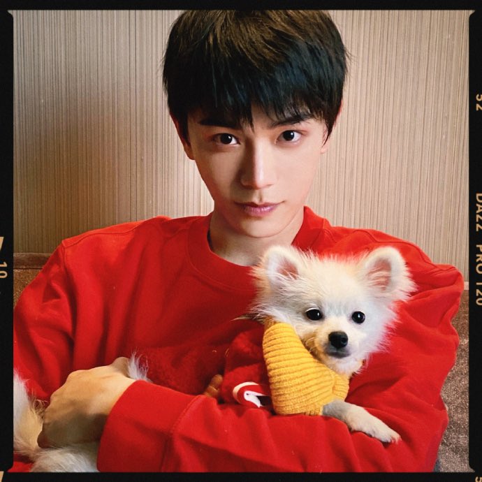 plainapogum's tweet photo. omg dyx and his dog look alike https://t.co/wrPihBrpuW