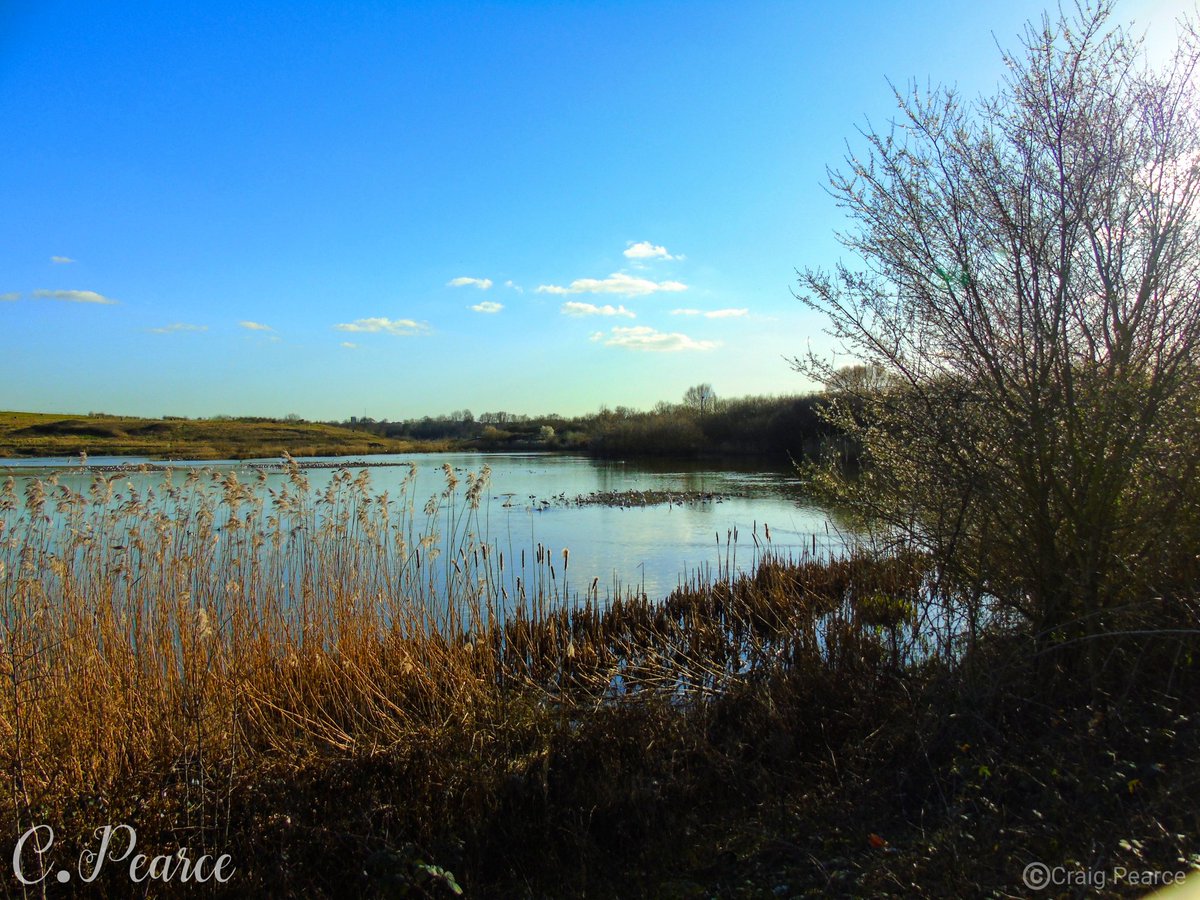 CoCroydon's tweet photo. Summer throwback. #summer #throwback #photography #photographer #naturephotography #naturephoto #nature #natureshots #blueskies #blue #lakeside #lakesideview #lake #croydon #clouds #cloudscape #cloudporn #cloud #bhfyp #landscape #landscapephotography #macro #macrophotography #sky https://t.co/1Lmw7shgLl