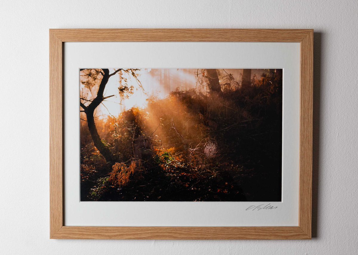 dfp35mm's tweet photo. Print your work https://t.co/A8C6PsCEzc