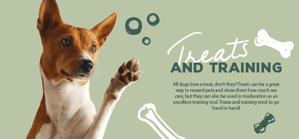 romypetscom's tweet image. Treats and Training - mailchi.mp/romypets/woof-…