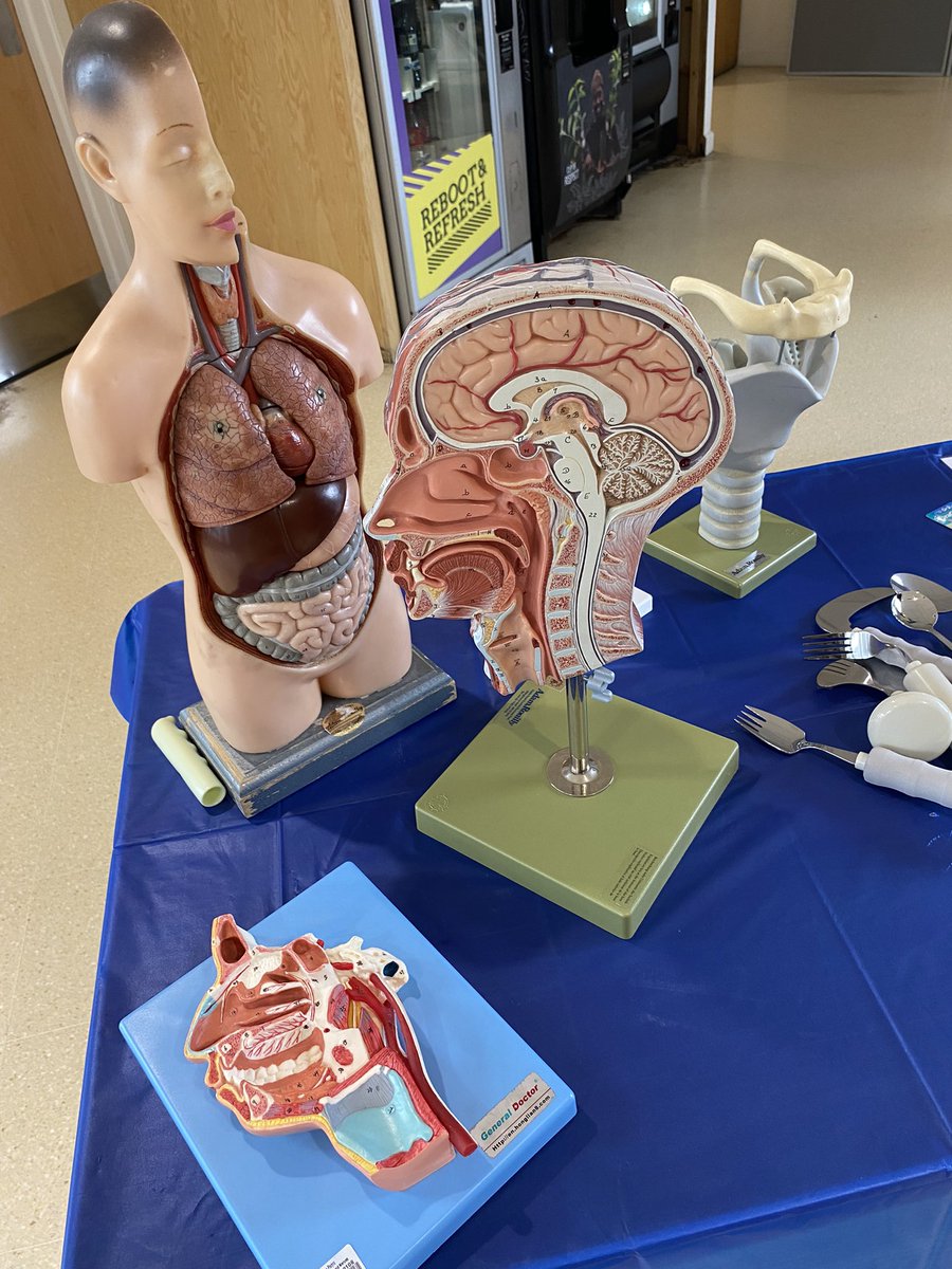 SLTsocietyhudds's tweet photo. #SwallowAware2022 #Dysphagia #SLT #SLT2B @SLTHuddsUni @HuddersfieldUni https://t.co/rFoP3TLrd1
