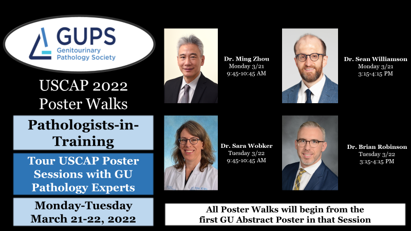 rovingatuscap's tweet photo. Are you a #PathTwitter TRAINEE interested in #gupath??

Join @GU_Path_Society at #USCAP2022 for 

GUPS Poster Walks - tour posters w/GUPS mentors who provide context, relevance, &amp; discussion

@pathmingzhou @Williamson_SR 
@SaraEWobker @surrealistNYC 

Dates/Times/Details 👇🏻👇🏻👇🏻 https://t.co/sIrLQsih8D