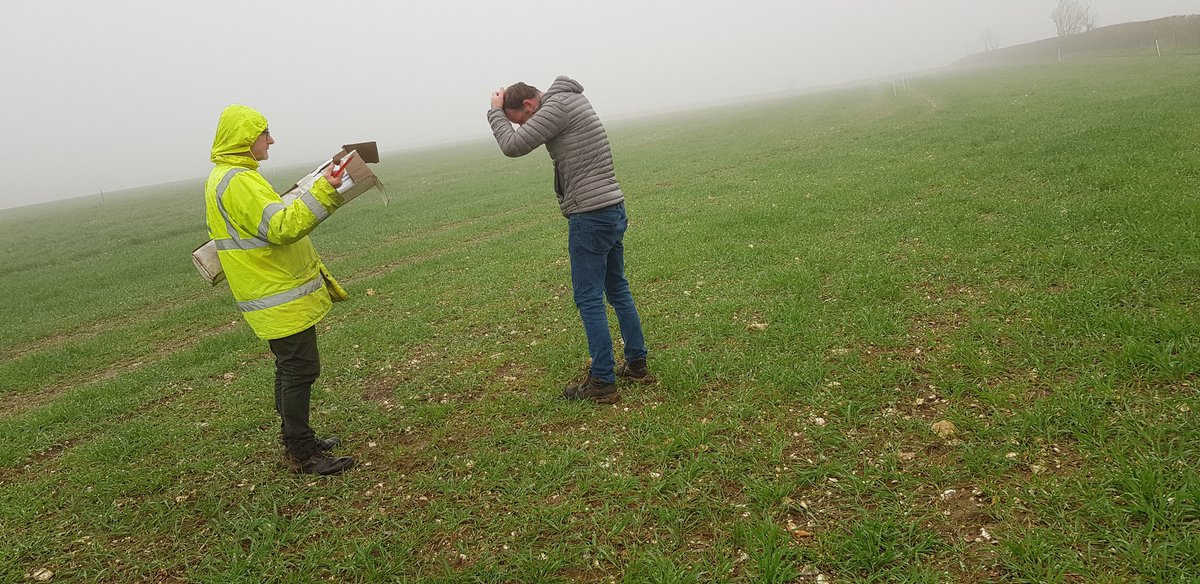 Durotriges Project tweet media