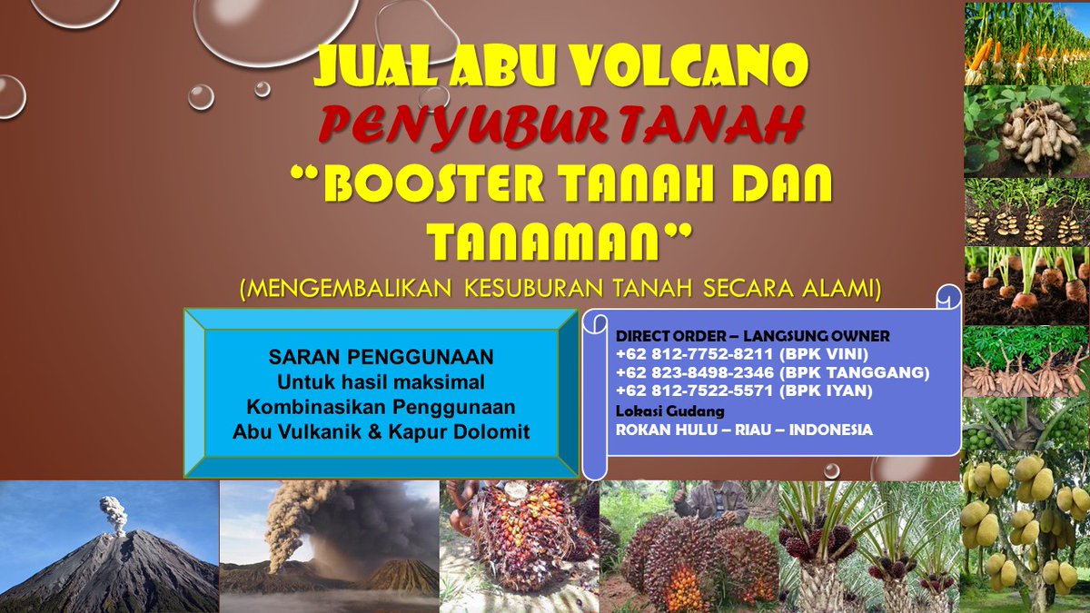 SerigalaManis's tweet photo. 0812-7752-8211 Agen Pupuk Sawit di Riau Harga Terbaru - Abu Vulcanik Original Penyubur Lahan Tani https://t.co/OiIBKYUA6t 

#rohul, #rokanhulu, #riau, #pupuksawit, #pembenahtanah, #pembenahtanahsawit, #jualabuvulkanik, #abuvolcano, #abuvulkanik, #rabuk, #pupuk,  #pupukorganik, https://t.co/z3AltgIvc3