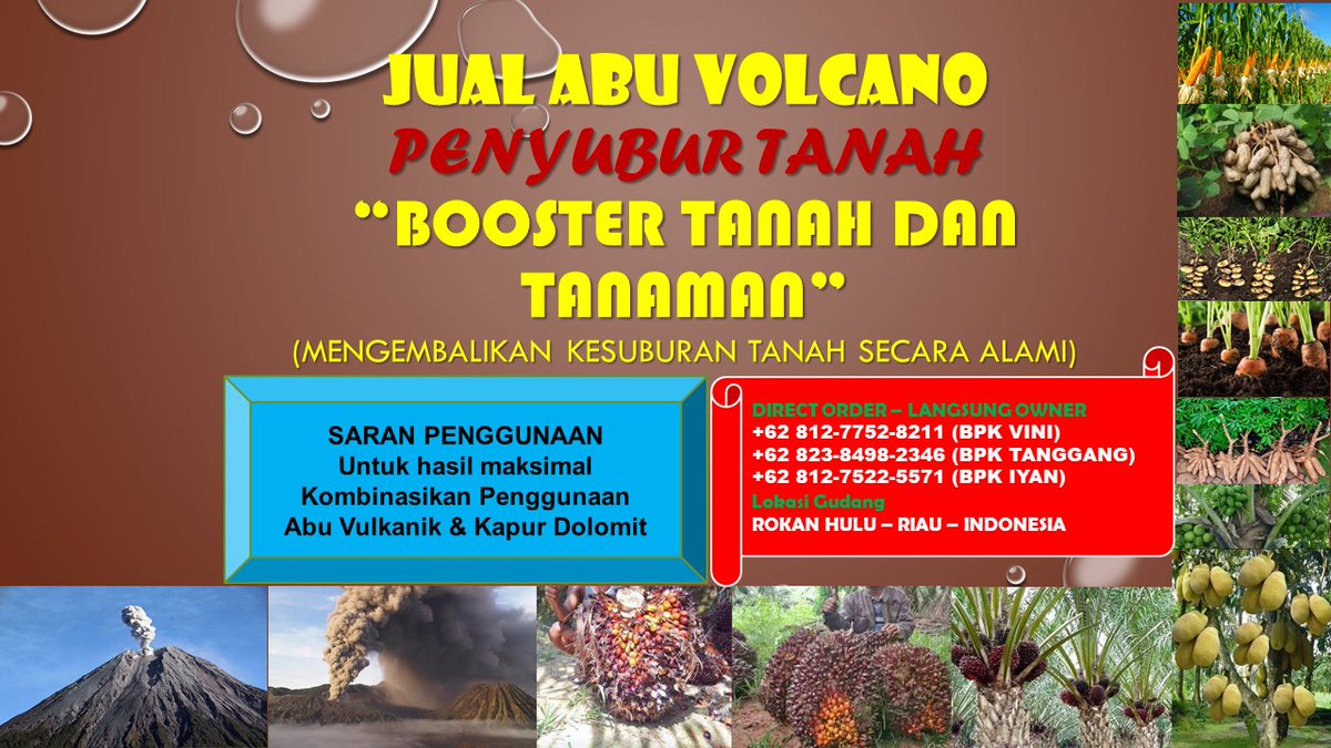 SerigalaManis's tweet photo. 0812-7752-8211 Agen Pupuk Sawit di Riau Harga Terbaru - Abu Vulcanik Original Penyubur Lahan Tani https://t.co/TDQSiN3XQM

#rohul, #rokanhulu, #riau, #pupuksawit, #pembenahtanah, #pembenahtanahsawit, #jualabuvulkanik, #abuvolcano, #abuvulkanik, #rabuk, #pupuk,  #pupukorganik, https://t.co/ZET39xzzWj