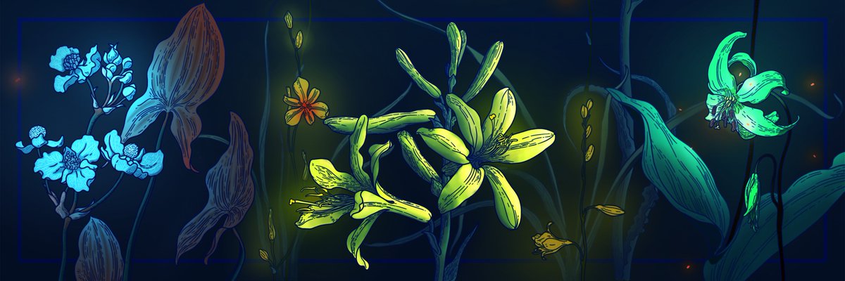 igamagi__'s tweet photo. 💐Banner Edition - Short Story of a Violet
"Short Story of a Violet"
4.8 $tez 1/1 
6000 x 2000 pixel PNG

🍀-Link-
https://t.co/T7YKNXZmRT

🐝 -Tags-
@objktcom
@hicetnunc2000
@HIC_AF
@idnft_
@NFTindonesia_
#NFT #NFTCommunity #nftcollector #NFTdrop #NFTartist #NFTart https://t.co/GG9vM8o18f