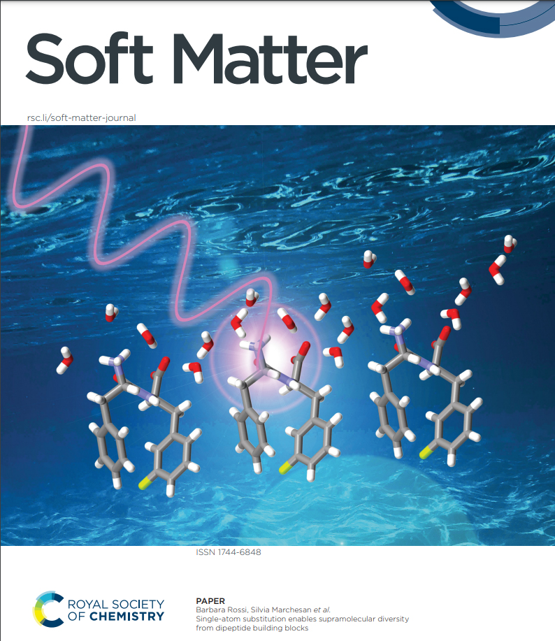 Superstructures Lab (@marchesanlab) on Twitter photo 🥳 Congrats2 #PhDstudents #EricaScarel, <a href="/BellottoOttavia/">Ottavia Bellotto</a> & #PetrRozhin & collaborators <a href="/SlavkoKralj/">s kralj</a> #MGTortora #RDeZorzi <a href="/AttilioVargiu/">Attilio Vittorio Vargiu</a>  & #synchrotron super-hero🦸♀️ #BarbaraRossi for being featured on the #cover of <a href="/softmatter/">Soft Matter</a>! <a href="/UniTrieste/">Università di Trieste</a> <a href="/univca/">Università degli Studi di Cagliari</a> <a href="/elettrasincro/">Elettra Sincrotrone Trieste</a> <a href="/JSI_SLO/">Jožef Stefan Institute</a> 1/2 🥳 Congrats2 #PhDstudents #EricaScarel, <a href="/BellottoOttavia/">Ottavia Bellotto</a> & #PetrRozhin & collaborators <a href="/SlavkoKralj/">s kralj</a> #MGTortora #RDeZorzi <a href="/AttilioVargiu/">Attilio Vittorio Vargiu</a>  & #synchrotron super-hero🦸♀️ #BarbaraRossi for being featured on the #cover of <a href="/softmatter/">Soft Matter</a>! <a href="/UniTrieste/">Università di Trieste</a> <a href="/univca/">Università degli Studi di Cagliari</a> <a href="/elettrasincro/">Elettra Sincrotrone Trieste</a> <a href="/JSI_SLO/">Jožef Stefan Institute</a> 1/2