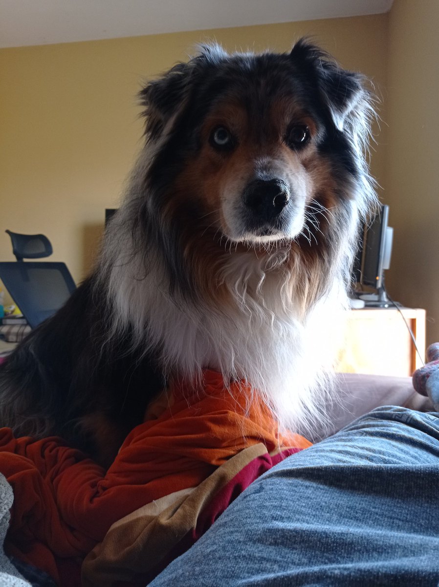 Alex ¦ AleWu tweet media