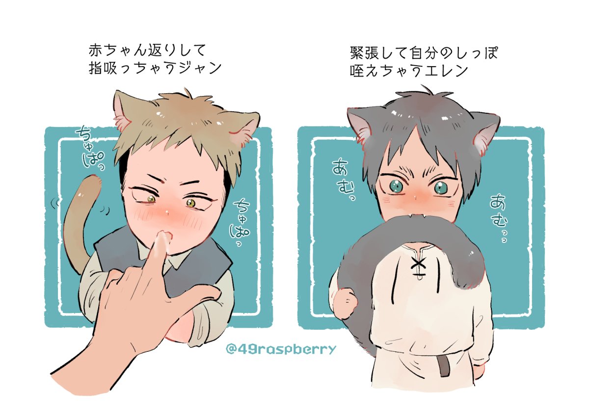 🐈🐈‍⬛ 