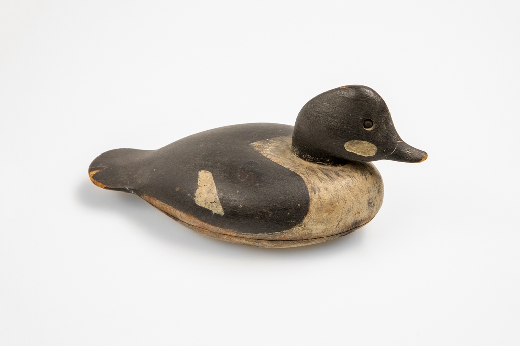 FolkArtMuseum's tweet photo. Join us tonight at 6 pm ET for a conversation exploring the history of wildfowl decoys and efforts to protect birds in NYC with archivist Aimee Lusty and urban wildlife biologist Kaitlyn Parkins of NYC Audubon.
REGISTER: https://t.co/94a4OKJWtK
#AFAMedu #afamMULTITUDES https://t.co/hynhR1iFhB