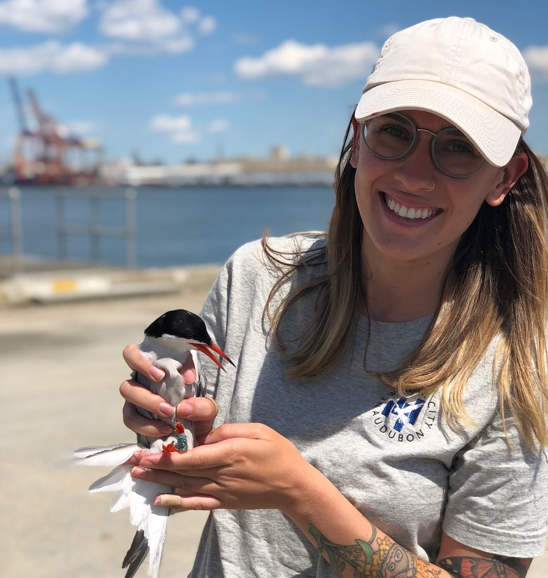 FolkArtMuseum's tweet photo. Join us tonight at 6 pm ET for a conversation exploring the history of wildfowl decoys and efforts to protect birds in NYC with archivist Aimee Lusty and urban wildlife biologist Kaitlyn Parkins of NYC Audubon.
REGISTER: https://t.co/94a4OKJWtK
#AFAMedu #afamMULTITUDES https://t.co/hynhR1iFhB
