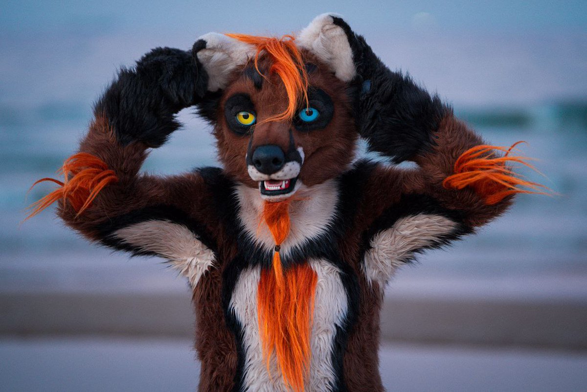 DoggoDeer's tweet photo. How does it look better? With ear up or ear down? Silly doggo is silly
#furry
📷 @PhotoPanther https://t.co/LbCo2DKXYz