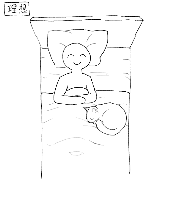猫と一緒のベッドで寝る時の理想と現実 