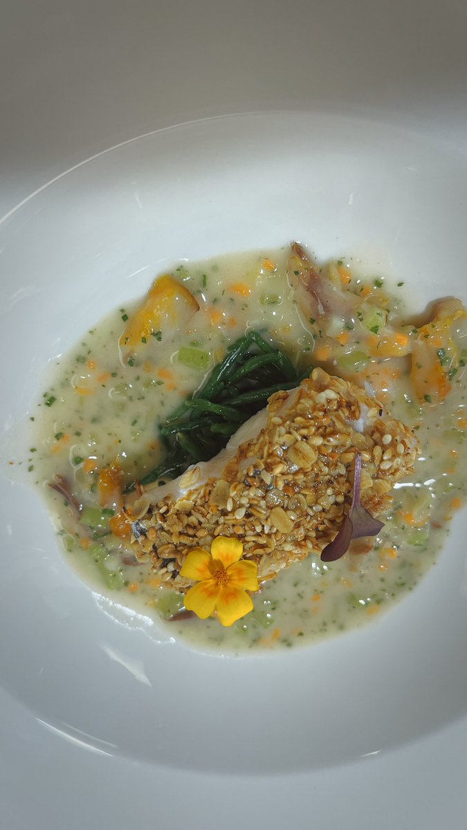 Tony Cameron (@cheftonycameron) on Twitter photo <a href="/Anahaugh/">Anna Haugh</a> <a href="/myrtlerest/">myrtle</a> first visions of the fish and main’s for the Irish menu @Westking <a href="/culinary_clinic/">Vince Kelly</a> <a href="/EscoffierRoom/">🍆</a> <a href="/EscoffierMarc1/">M J W</a> <a href="/NormanFu/">Norman Fu</a> <a href="/Anahaugh/">Anna Haugh</a> <a href="/myrtlerest/">myrtle</a> first visions of the fish and main’s for the Irish menu @Westking <a href="/culinary_clinic/">Vince Kelly</a> <a href="/EscoffierRoom/">🍆</a> <a href="/EscoffierMarc1/">M J W</a> <a href="/NormanFu/">Norman Fu</a>