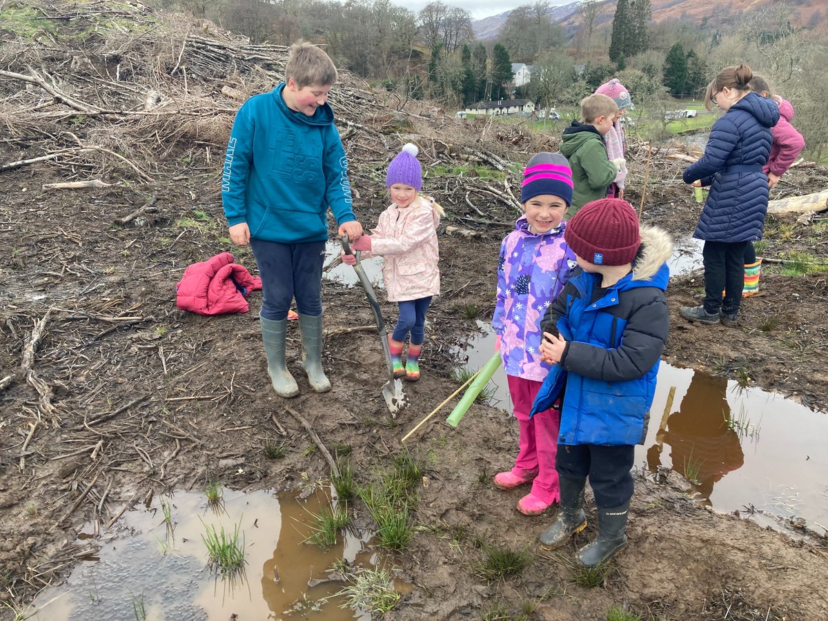 KillinPrimary's tweet photo. Planting trees with Gareth, our local Park Ranger, as part of the Loch Lomond & The Trossachs National Park Schoolsβ Native Woodland Project - A COP26 Legacy Project. @lomondtrossachs Helping to restore native species and creating new habitats π³π²πͺ²ππ·οΈ@KSBScotland #KPSkillinit https://t.co/TF65PqAVEP