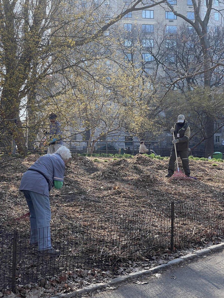 NYCRobyn's tweet photo. A shoutout to all the volunteers and workers in @CentralParkNYC keeping us safe and spring cleanup. @My_Cen_ParkNYC #supportyourpark @NY4P https://t.co/iPUbK6TnaV