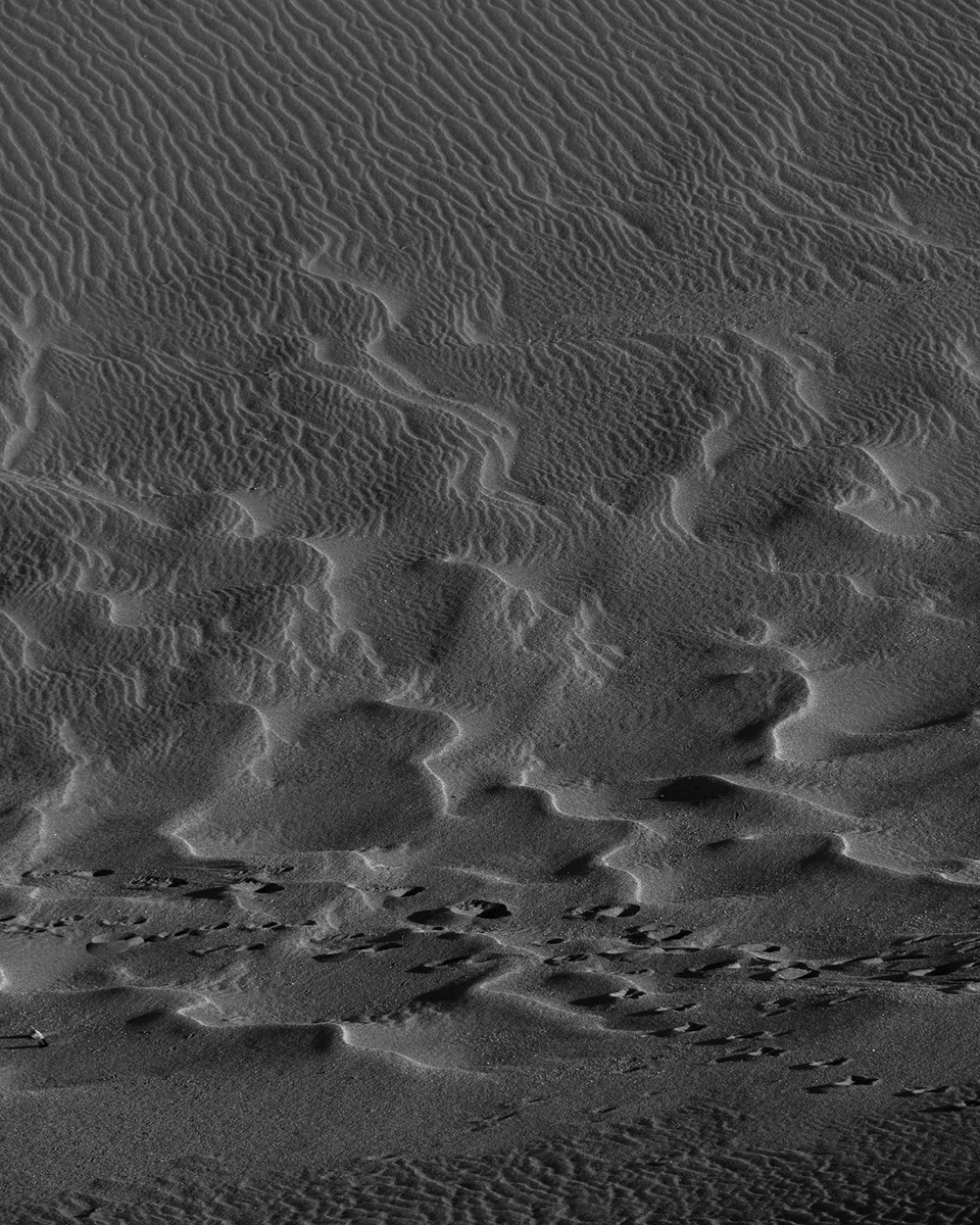 DMartinezImages's tweet photo. Ready to fill this space with #bnwphotography
#blackandwhitephotography #bwcrew #landscapers #monochrome #nftphotographers I invite you to join in with me! I will support and RT/QT Show me yours!
The Great Sand Dunes, Colorado https://t.co/HqoKNbK215