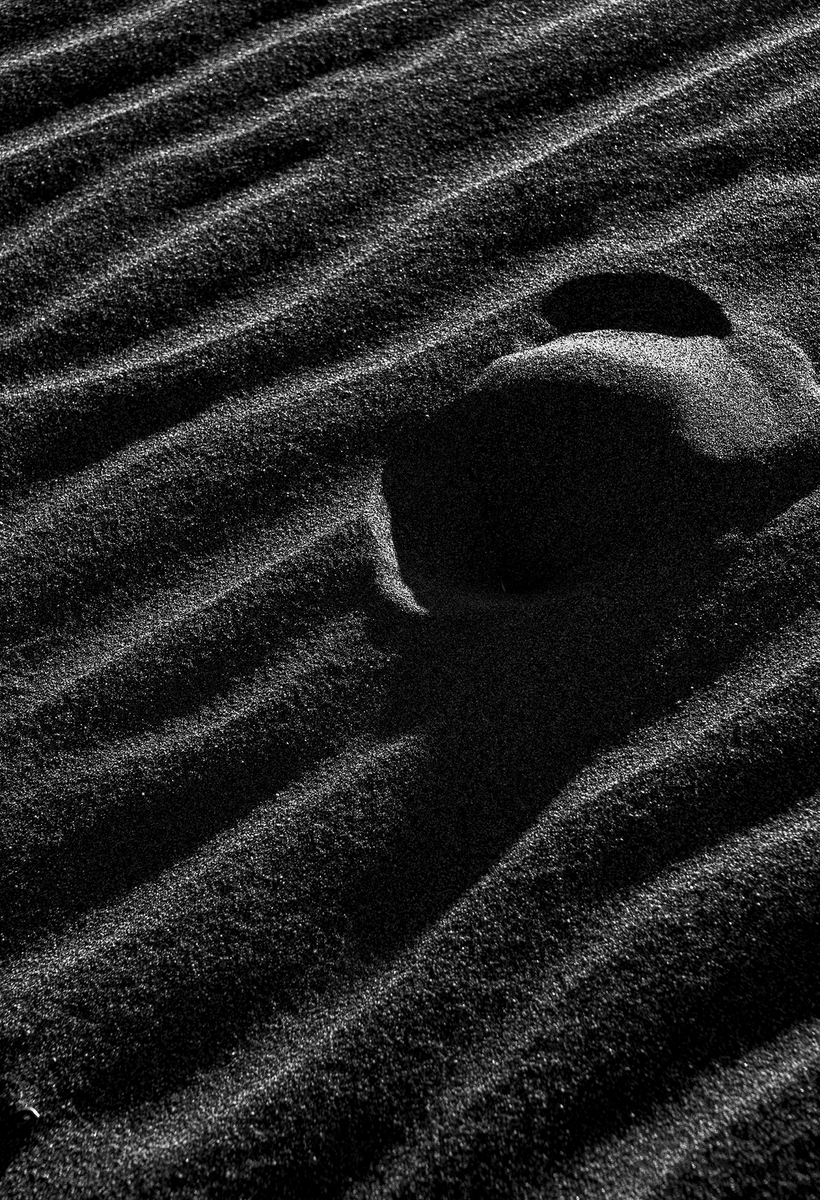 DMartinezImages's tweet photo. Ready to fill this space with #bnwphotography
#blackandwhitephotography #bwcrew #landscapers #monochrome #nftphotographers I invite you to join in with me! I will support and RT/QT Show me yours!
The Great Sand Dunes, Colorado https://t.co/HqoKNbK215