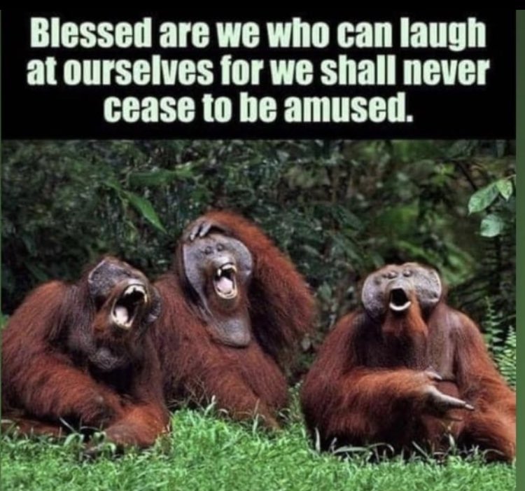 MamaDianna's tweet photo. #ComedyRelief #Laughter #LaughterIsTheBestMedicine #Joy #Happiness https://t.co/Ar5LgIhAbx