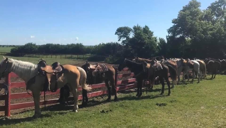 LuckyBreakRanch's tweet photo. Pony Ride Rentals

Make your event memorable with Pony Rides
Let Lucky Break Ranch help make your event memorable by adding pony rides!  Host your event at the ranch and enjoy the animals the Ranch has to offer, or have the Ranch come to you, and enjoy the wonderful horses! https://t.co/n8mThVjQaK