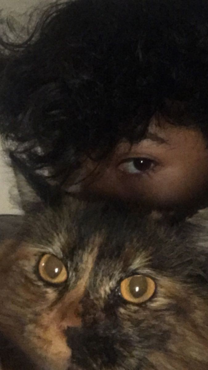 devanotirta's tweet photo. 🐈 https://t.co/76xGa2S81j