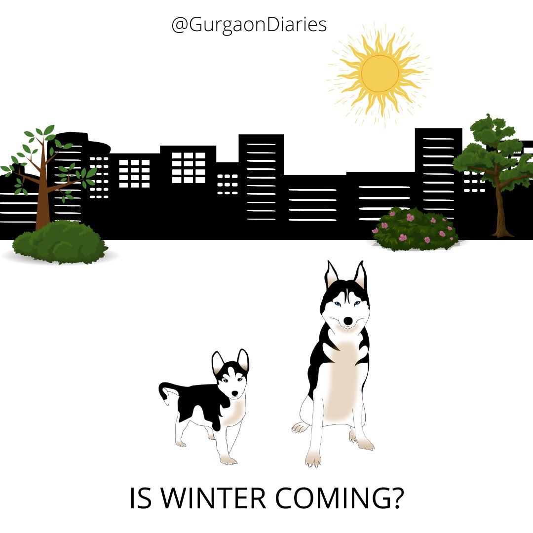 GurgaonDiaries's tweet photo. Soon after Game of Thrones was aired for the first time in India, our condominium saw an influx of Siberian huskies. 
https://t.co/F7BWnzeTGd
#GurgaonDiaries https://t.co/sad4HjB0z4