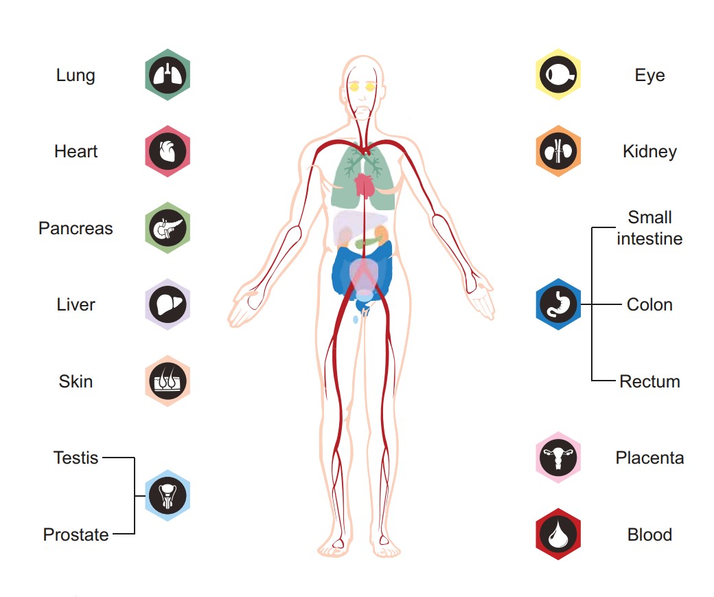Feria Hikmet tweet media