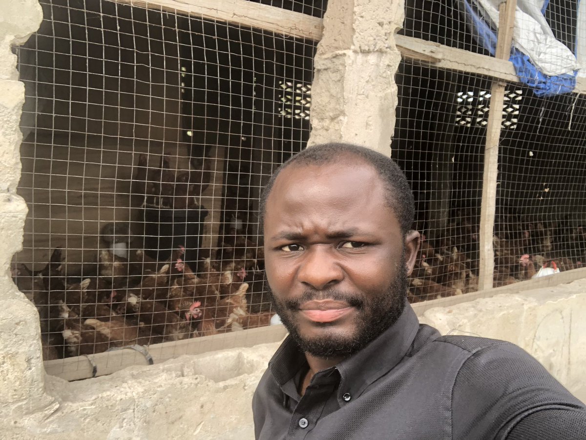 Elie Lomboto🇨🇩🐓 tweet media