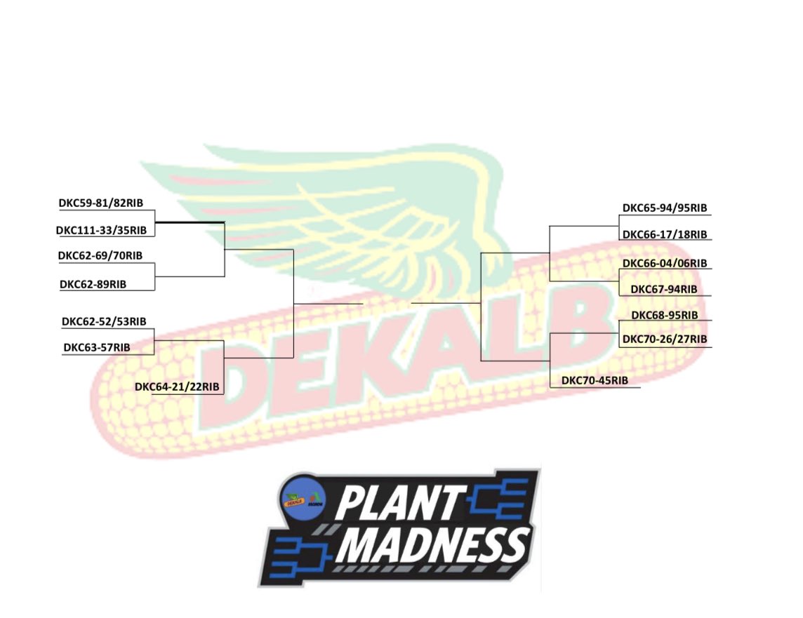 DEKALB Asgrow SIL tweet media