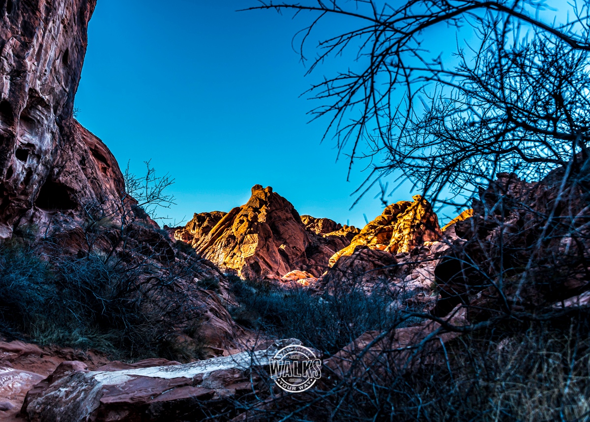 WalksYourWay's tweet photo. Gotta love late the afternoon views in Valley of Fire State Park!

Follow us for a new picture of beautiful places daily!

Visit https://t.co/wCJKvyHtPW to see all of the beautiful images available for sale!

#WalksYourWay
#travel
#picfair
#valleyoffire https://t.co/LlDjOLtKYF