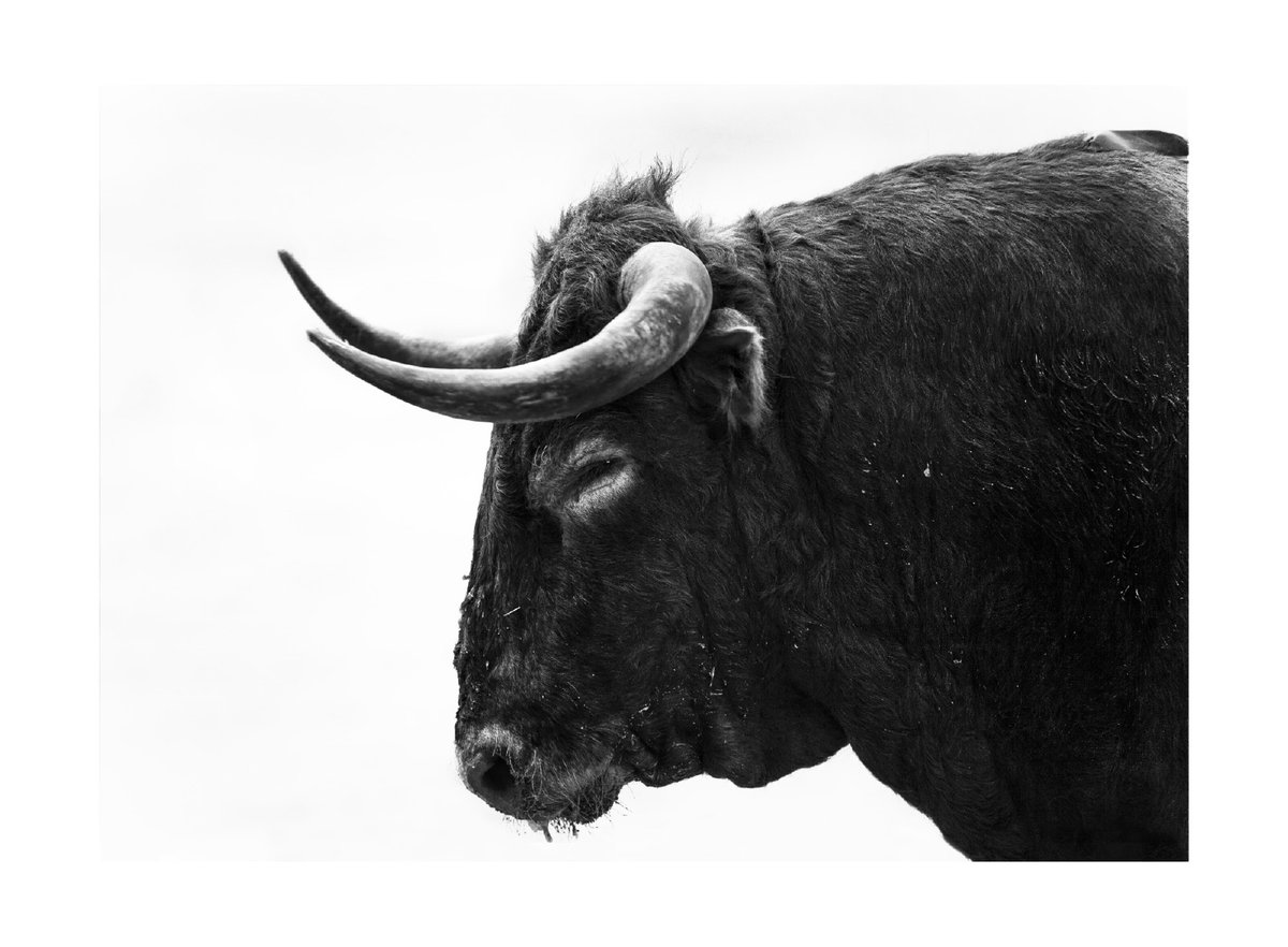 anneclergue's tweet photo. Toros y Toreros, Pomes, Maspons, Masats, Cazalis.
Opening April 16th- 12-4pm before the bullfight! https://t.co/BwZp6yyykF