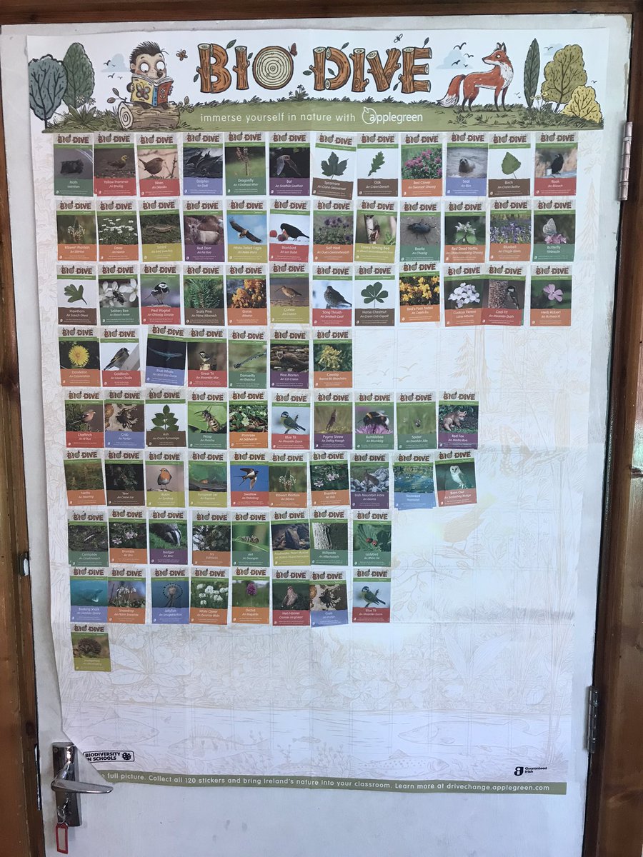 jimlowry76's tweet photo. @goapplegreen the students and team of st marys special school Navan really enjoying the Biodive in class and the fun facts about Ireland’s wildlife 💚 https://t.co/f4jCRrThcI