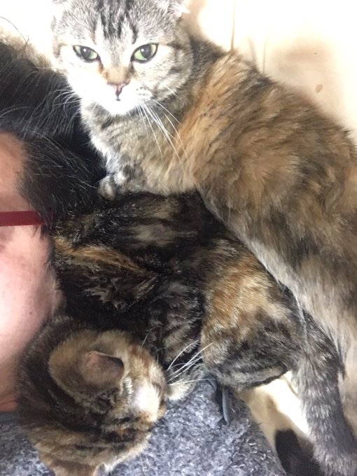 只今の状況をお知らせします 