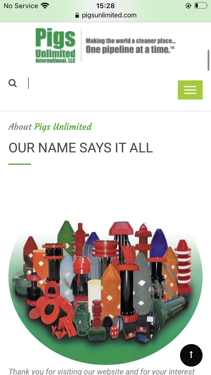 rosalyster's tweet photo. If anyone needs to smile or think about something else for two seconds, I found a website just now called “pigs unlimited” that says loads of really funny things https://t.co/920aJxChaH