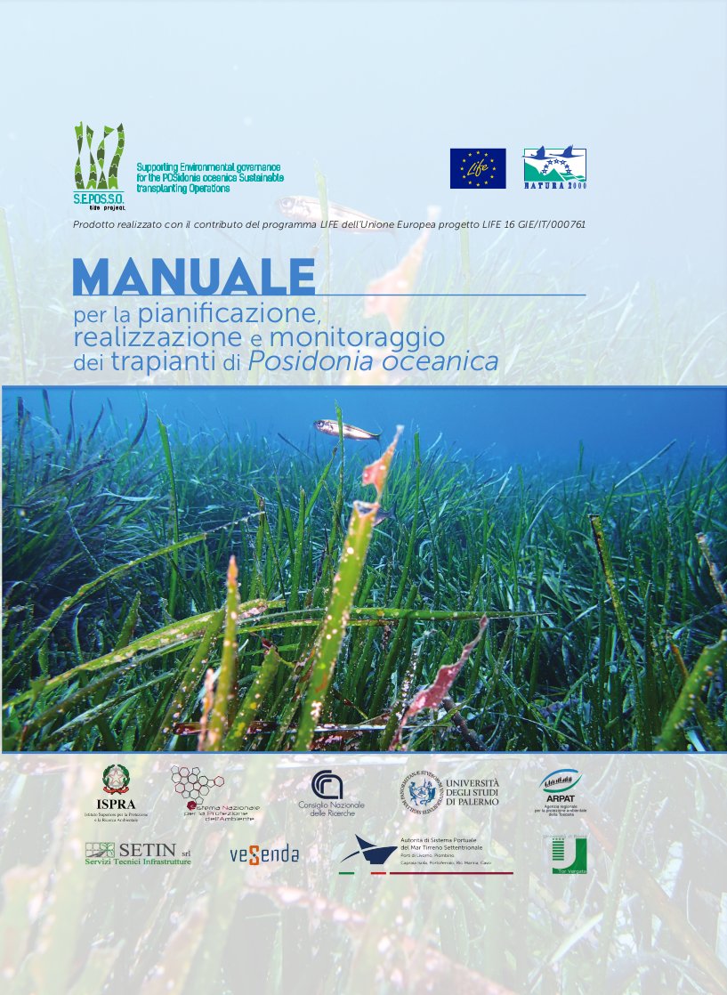 🔴Sono online:
1️⃣Manuale per la Pianificazione dei trapianti di Posidonia oceanica
2️⃣Manuale delle Tecniche
di #LIFEproject #LifeSEPOSSO <a href="/ISPRA_Press/">ISPRA - Ist. Sup. Protezione e Ricerca Ambientale</a> strumenti basilari per la gestione dei trapianti di #Posidonia per ripristino recupero o compensazione 
👉 lifeseposso.eu/?page_id=11157