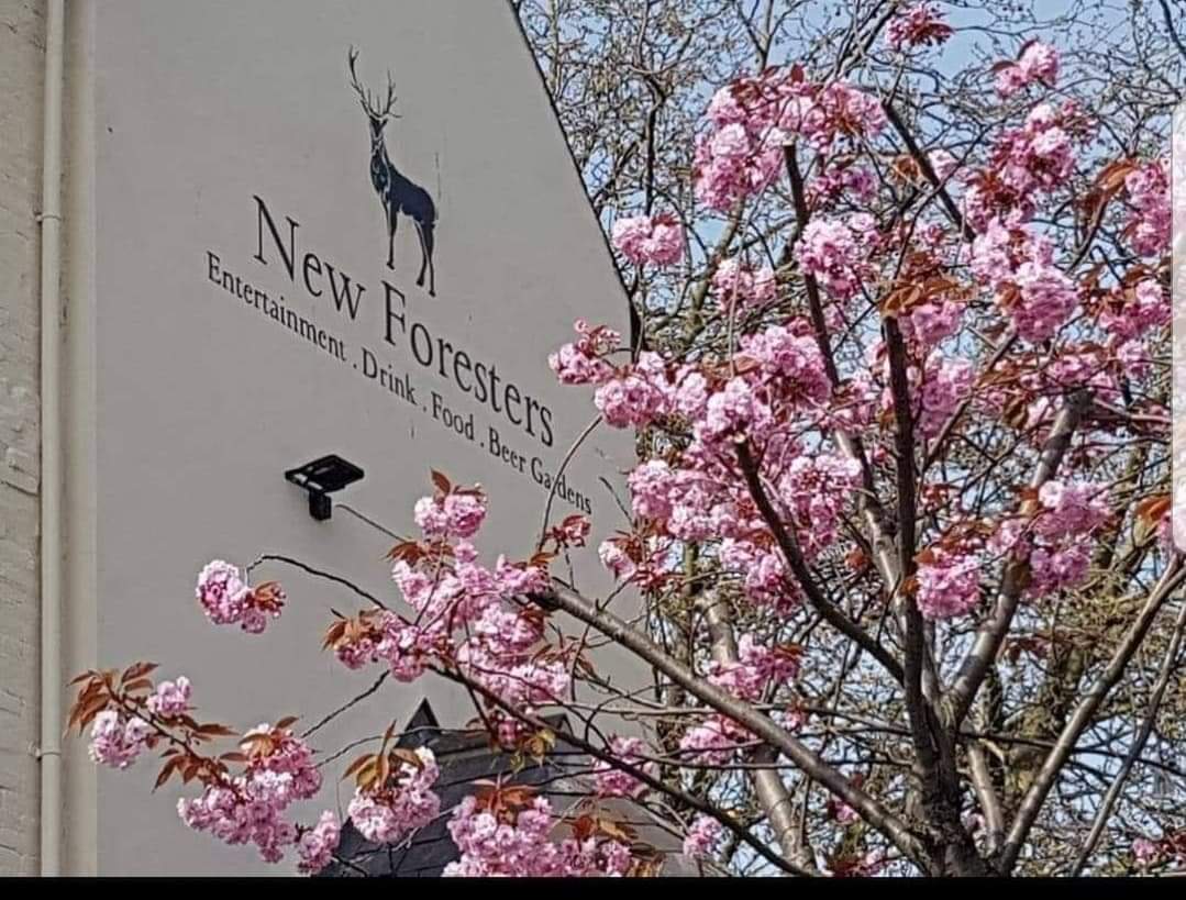 The Spencer Trust (@thespencertrust) on Twitter photo The New Foresters are looking for a glass collector to work Saturdays from 10pm until 4am. You'll get a chance to work in a fun and lively lgbt+ bar with a great team! If you are interested please reach out to Debbie at <a href="/ForestersNew/">The New Foresters</a>
#jobvacancy #LGBTQ #nottingham The New Foresters are looking for a glass collector to work Saturdays from 10pm until 4am. You'll get a chance to work in a fun and lively lgbt+ bar with a great team! If you are interested please reach out to Debbie at <a href="/ForestersNew/">The New Foresters</a>
#jobvacancy #LGBTQ #nottingham