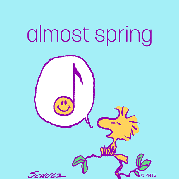 Snoopy's tweet photo. The birds have started singing! 🎵 https://t.co/Y2LcQhFxr2